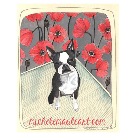 Michele Maule: Print - boston terrier
