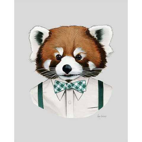 Berkley Illustration: Print - red panda