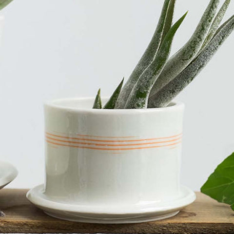 Taylor Ceramics: Planter - porcelain w/tray & drainage hole