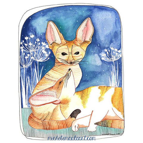 Michele Maule: Print - fennec foxes